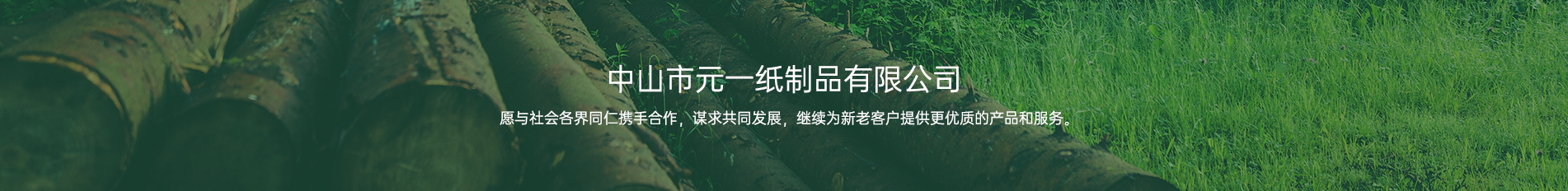 中山91看片在线观看一纸制品